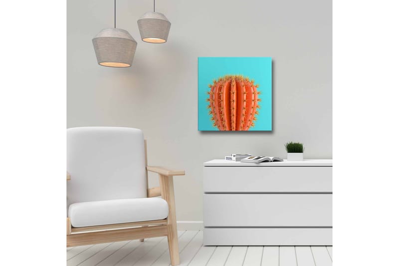 Lerretsbilde - Oransje kaktus med torner mot en turkis bakgrunn - Oransje / Turkis - Innredning - Bilder & kunst - Lerretsbilder