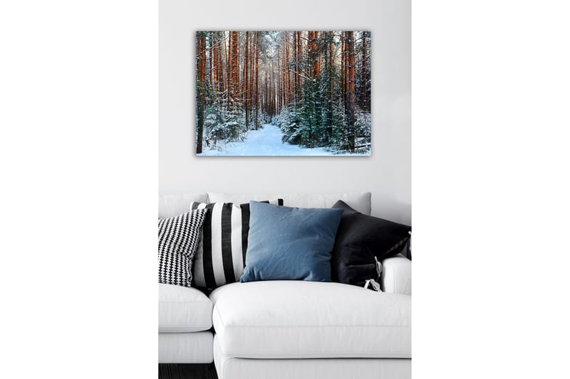 Lerretsbilde - Snødekt skog med høye, rette furutrær - Grønn / Brun / Hvit - Innredning - Bilder & kunst - Lerretsbilder