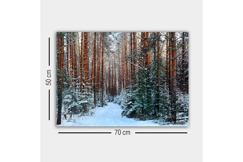 Lerretsbilde - Snødekt skog med høye, rette furutrær - Grønn / Brun / Hvit - Innredning - Bilder & kunst - Lerretsbilder