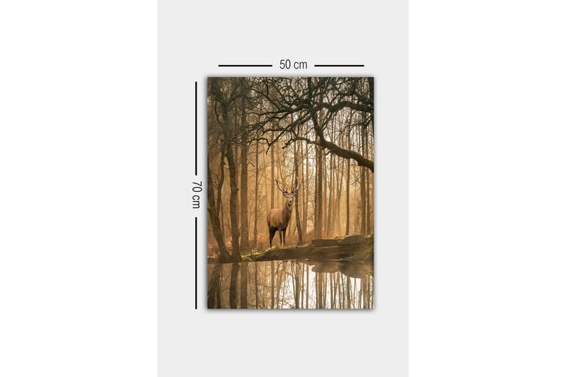 Lerretsbilde - Statlig elg i et tåkete skogsmiljø - Brun / Gull / Grønn - Innredning - Bilder & kunst - Lerretsbilder