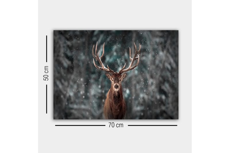 Lerretsbilde - Statlig elg med imponerende gevir i et snødekt skogsmiljø - Brun / Grå / Hvit - Innredning - Bilder & kunst - Lerretsbilder