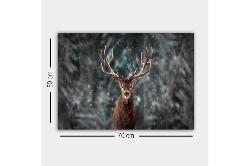 Lerretsbilde - Statlig elg med imponerende gevir i et snødekt skogsmiljø - Brun / Grå / Hvit - Innredning - Bilder & kunst - Lerretsbilder