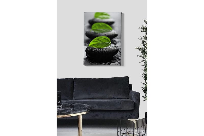 Lerretsbilde - Steinblokker med grønne blader og vanndråper - Svart / Grønn - Innredning - Bilder & kunst - Lerretsbilder