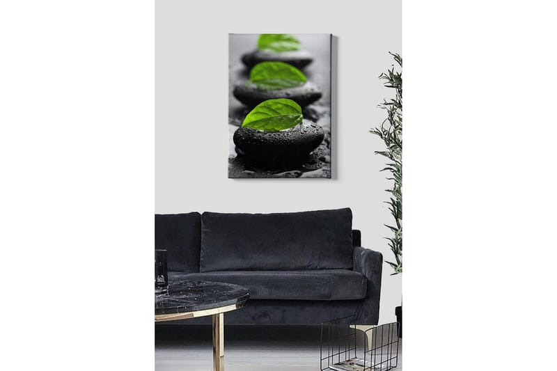 Lerretsbilde - Steinblokker med grønne blader og vanndråper - Svart / Grønn - Innredning - Bilder & kunst - Lerretsbilder
