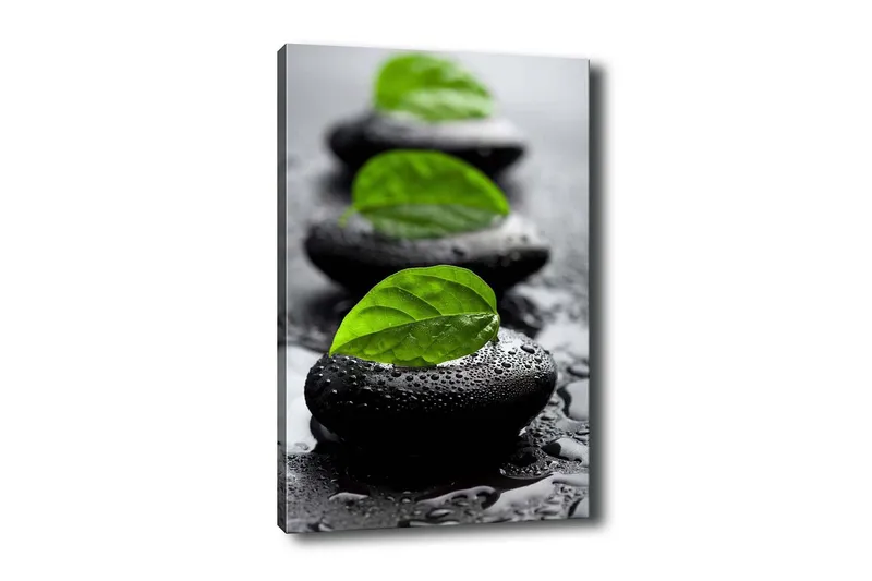 Lerretsbilde - Steinblokker med grønne blader og vanndråper, Svart / Grønn