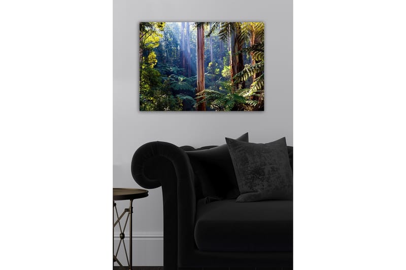 Lerretsbilde - Stille skog med høye eukalyptustrær og frodig vegetasjon - Grønn / Brun / Gul - Innredning - Bilder & kunst - Lerretsbilder