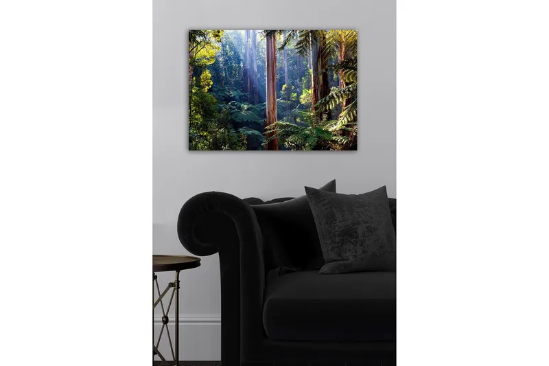 Lerretsbilde - Stille skog med høye eukalyptustrær og frodig vegetasjon - Grønn / Brun / Gul - Innredning - Bilder & kunst - Lerretsbilder