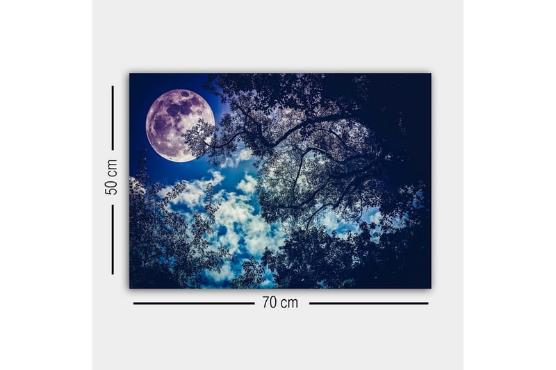 Lerretsbilde - Storslått måne som skinner over en nattehimmel med tretoppsilhuett - Mørk blå / Lys blå / Hvit - Innredning - Bilder & kunst - Lerretsbilder