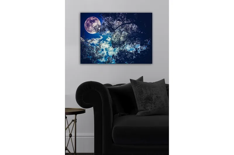 Lerretsbilde - Storslått måne som skinner over en nattehimmel med tretoppsilhuett - Mørk blå / Lys blå / Hvit - Innredning - Bilder & kunst - Lerretsbilder