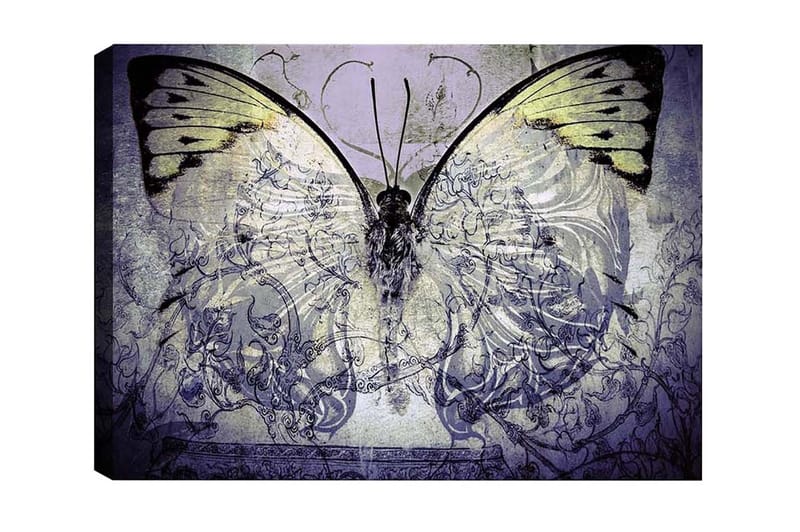 Lerretsbilde - Storslått sommerfugl med intrikate mønstre og detaljer, Lilla / Svart / Grønn