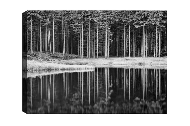 Lerretsbilde - Svart-hvitt skogsscene med refleksjon i vannet, Svart / Hvit / Grå