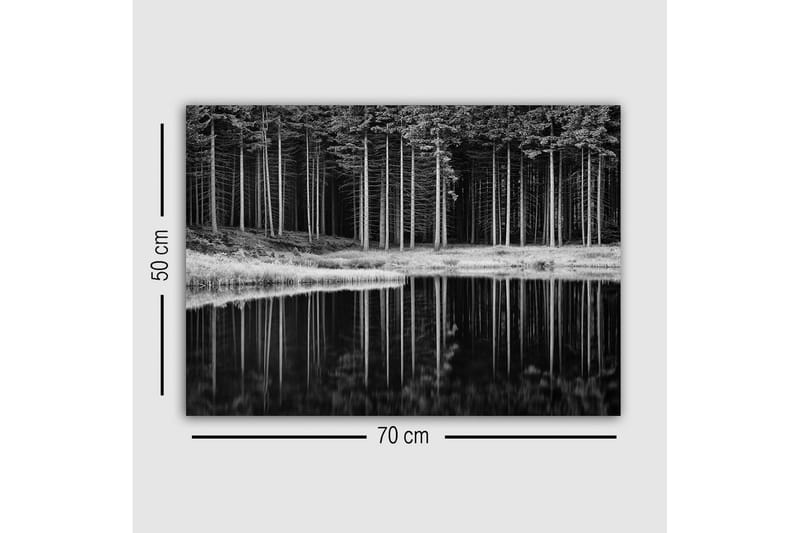 Lerretsbilde - Svart-hvitt skogsscene med refleksjon i vannet - Svart / Hvit / Grå - Innredning - Bilder & kunst - Lerretsbilder