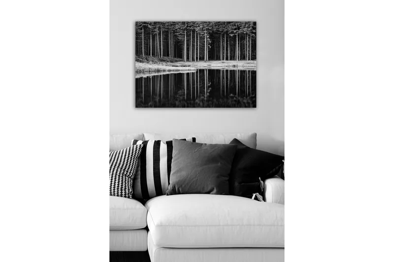 Lerretsbilde - Svart-hvitt skogsscene med refleksjon i vannet - Svart / Hvit / Grå - Innredning - Bilder & kunst - Lerretsbilder