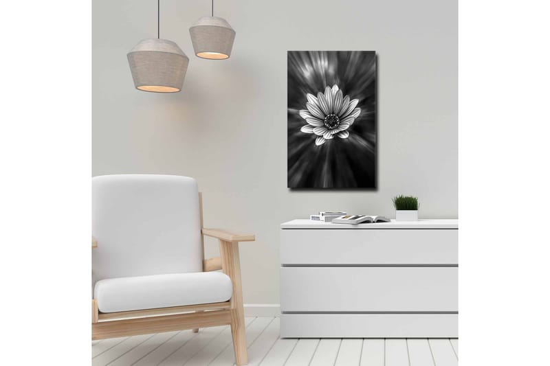 Lerretsbilde - Svart og hvit blomst med lysstråler som skaper en dramatisk effekt - Svart / Hvit / Grå - Innredning - Bilder & kunst - Lerretsbilder