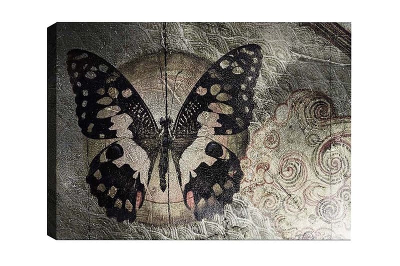 Lerretsbilde - Svart sommerfugl med mønster mot en diskré bakgrunn, Svart / Beige / Grå