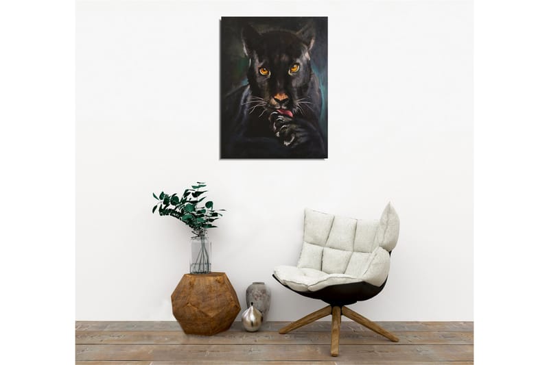Lerretsbilde - Svart panter med intense øyne som slikker poten sin - Svart / Gull / Mørkegrønn - Innredning - Bilder & kunst - Lerretsbilder