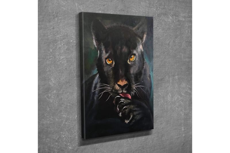 Lerretsbilde - Svart panter med intense øyne som slikker poten sin - Svart / Gull / Mørkegrønn - Innredning - Bilder & kunst - Lerretsbilder