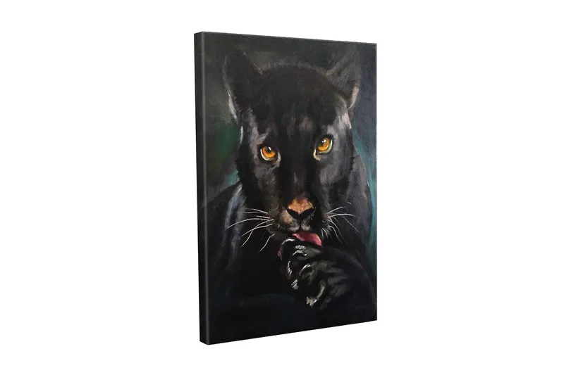 Lerretsbilde - Svart panter med intense øyne som slikker poten sin, Svart / Gull / Mørkegrønn