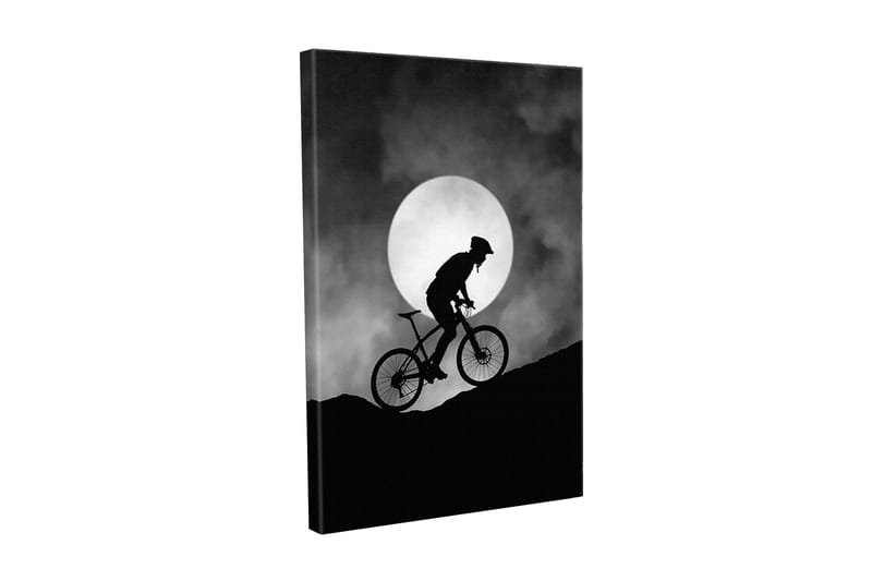 Lerretsbilde - Syklist som klatrer opp en bakke under en stor måne, Svart / Grå