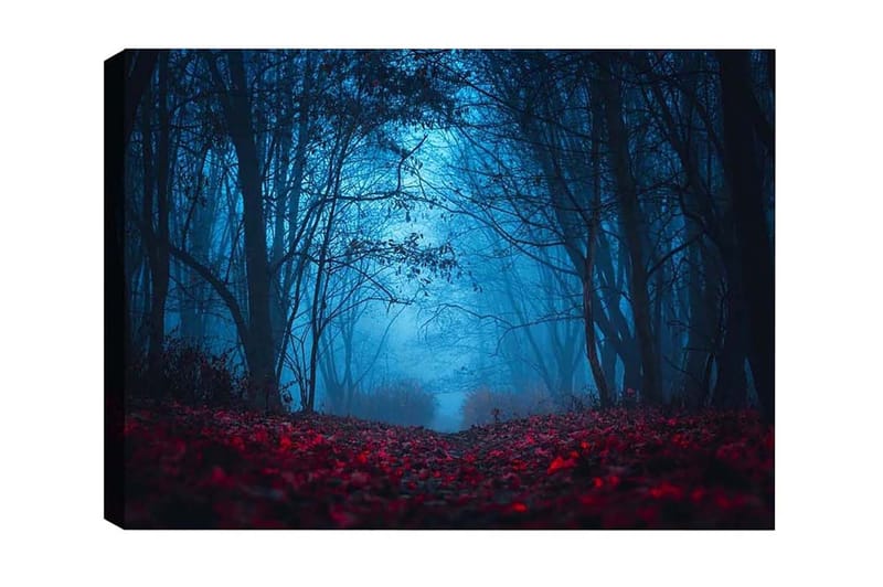 Lerretsbilde - Tåkete skog med rødlige blader i en mystisk atmosfære, Mørk blå / Rød