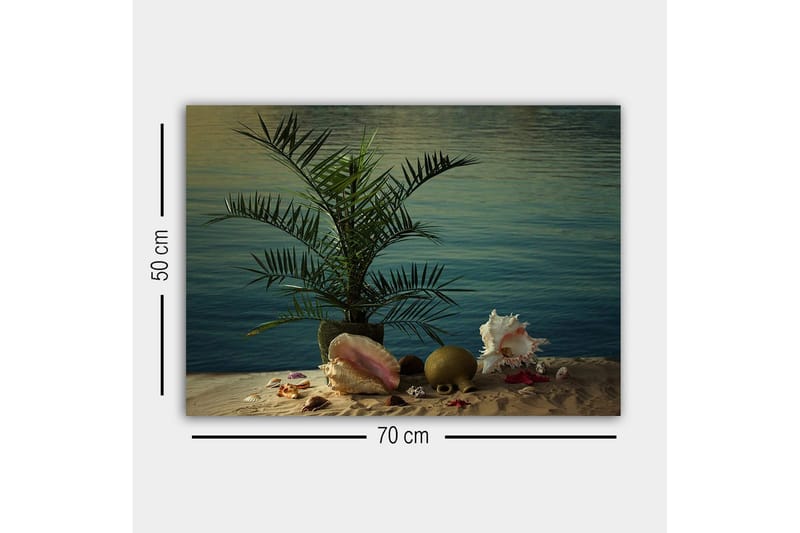 Lerretsbilde - Tropisk ro med palme og skjell ved vannet - Grønn / Beige / Rosa - Innredning - Bilder & kunst - Lerretsbilder