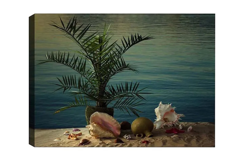 Lerretsbilde - Tropisk ro med palme og skjell ved vannet, Grønn / Beige / Rosa