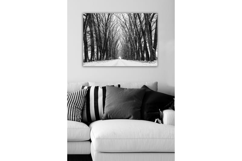 Lerretsbilde - Ufruktbar allé med nakne trær i vinterlandskap - Svart / Hvit / Grå - Innredning - Bilder & kunst - Lerretsbilder