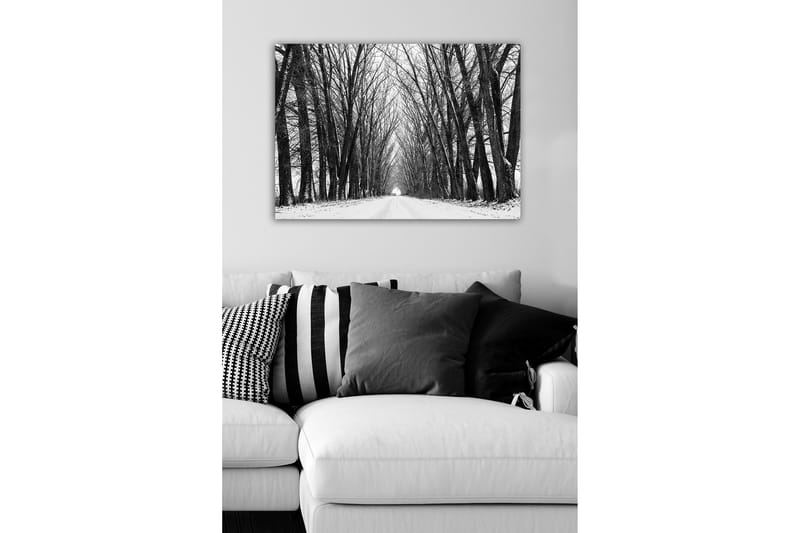 Lerretsbilde - Ufruktbar allé med nakne trær i vinterlandskap - Svart / Hvit / Grå - Innredning - Bilder & kunst - Lerretsbilder
