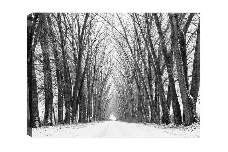 Lerretsbilde - Ufruktbar allé med nakne trær i vinterlandskap - Svart / Hvit / Grå - Innredning - Bilder & kunst - Lerretsbilder