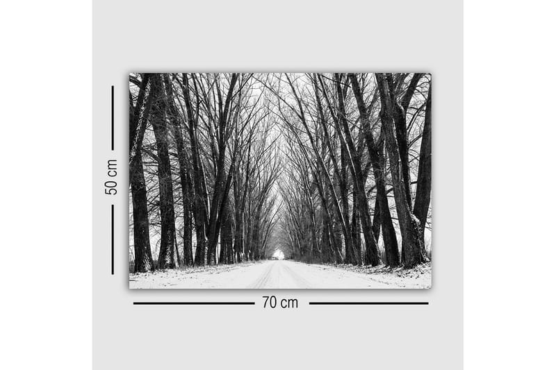 Lerretsbilde - Ufruktbar allé med nakne trær i vinterlandskap - Svart / Hvit / Grå - Innredning - Bilder & kunst - Lerretsbilder