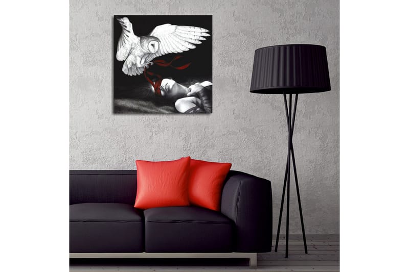 Lerretsbilde - Ugle som svever over en sovende person med røde bånd - Hvit / Svart / Rød - Innredning - Bilder & kunst - Lerretsbilder