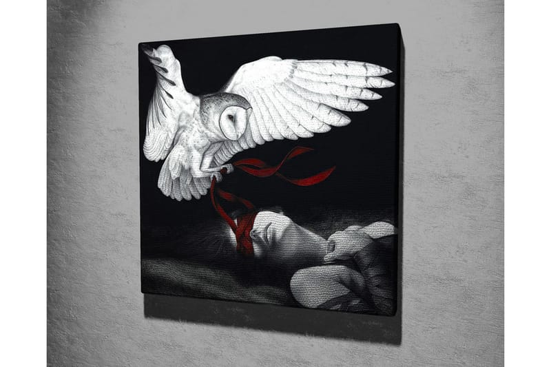 Lerretsbilde - Ugle som svever over en sovende person med røde bånd - Hvit / Svart / Rød - Innredning - Bilder & kunst - Lerretsbilder