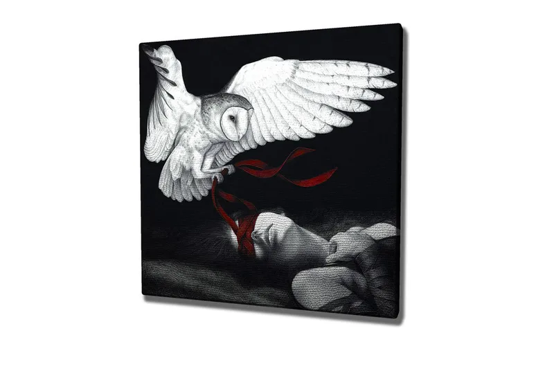 Lerretsbilde - Ugle som svever over en sovende person med røde bånd, Hvit / Svart / Rød