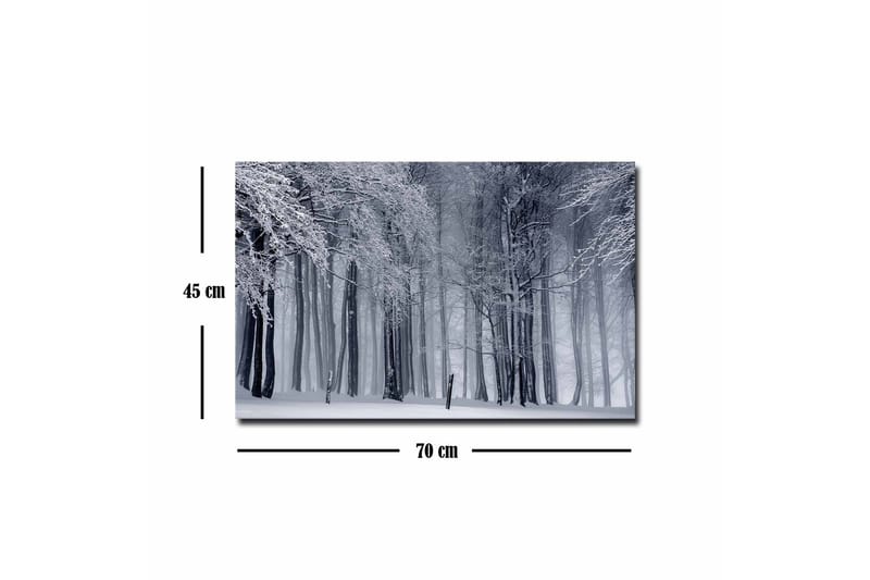 Lerretsbilde - Vinterskog med snødekte trær - Hvit / Grå / Svart - Innredning - Bilder & kunst - Lerretsbilder