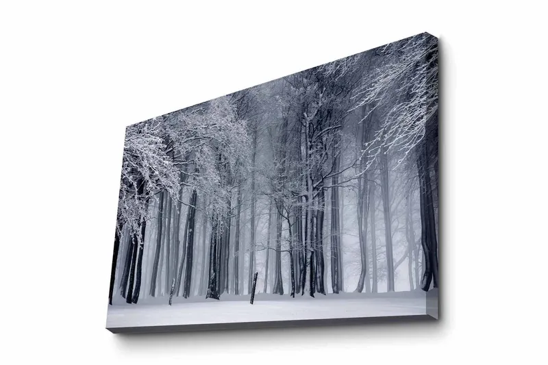 Lerretsbilde - Vinterskog med snødekte trær, Hvit / Grå / Svart