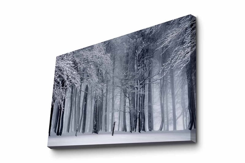 Lerretsbilde - Vinterskog med snødekte trær, Hvit / Grå / Svart