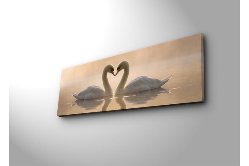 Stort lerretsbilde 90x30 cm - To svaner som danner et hjerte med halsen - Hvit / Beige - Innredning - Bilder & kunst - Lerretsbilder