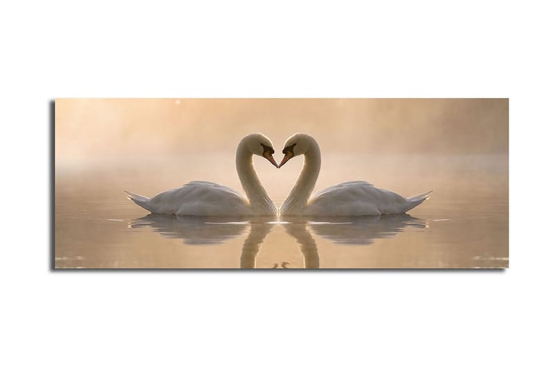 Stort lerretsbilde 90x30 cm - To svaner som danner et hjerte med halsen - Hvit / Beige - Innredning - Bilder & kunst - Lerretsbilder