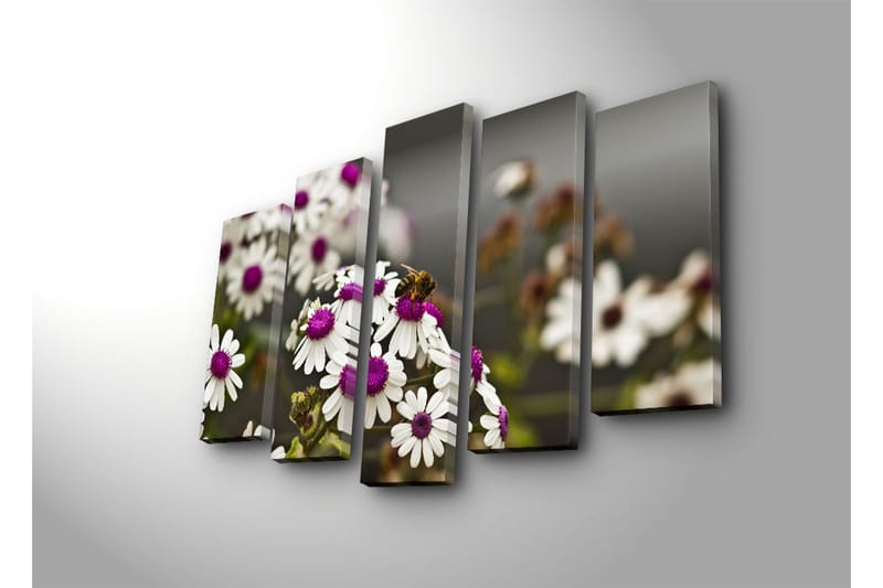 Stort lerretsbilde i 5 deler 105x70 cm - Blomster med lilla midtpunkt og en bie som samler nektar - Hvit / Lilla - Innredning - Bilder & kunst - Lerretsbilder