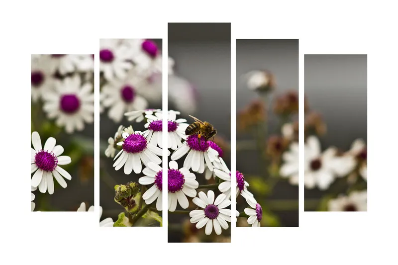 Stort lerretsbilde i 5 deler 105x70 cm - Blomster med lilla midtpunkt og en bie som samler nektar - Hvit / Lilla - Innredning - Bilder & kunst - Lerretsbilder