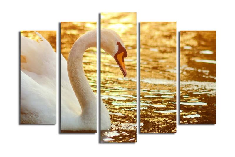 Stort lerretsbilde i 5 deler 105x70 cm - Elegant svane ved vannoverflaten - Hvit / Gull / Oransje - Innredning - Bilder & kunst - Lerretsbilder