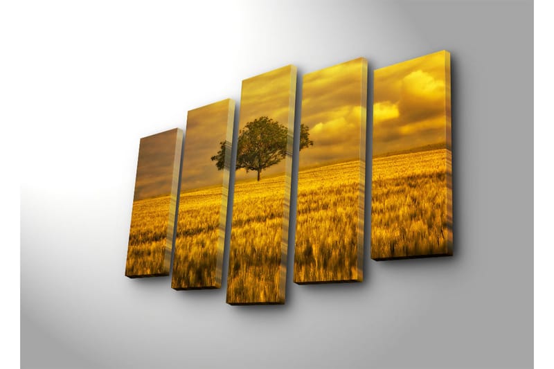 Stort lerretsbilde i 5 deler 105x70 cm - Ensom trekrone i et gyllent felt - Gull / Grønn / Beige - Innredning - Bilder & kunst - Lerretsbilder