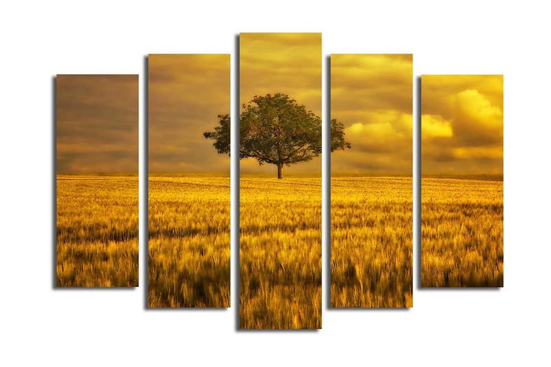 Stort lerretsbilde i 5 deler 105x70 cm - Ensom trekrone i et gyllent felt - Gull / Grønn / Beige - Innredning - Bilder & kunst - Lerretsbilder