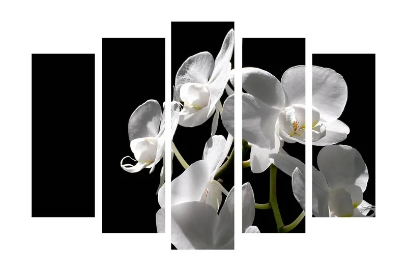 Stort lerretsbilde i 5 deler 105x70 cm - Hvit orkidé med elegante blomster - Hvit / Grønn - Innredning - Bilder & kunst - Lerretsbilder