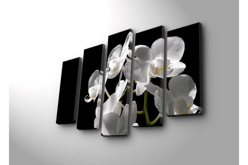 Stort lerretsbilde i 5 deler 105x70 cm - Hvit orkidé med elegante blomster - Hvit / Grønn - Innredning - Bilder & kunst - Lerretsbilder