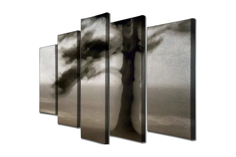 Stort lerretsbilde i 5 deler 105x70 cm - Mørk silhuett av et tre mot en tåkete bakgrunn - Svart / Grå / Hvit - Innredning - Bilder & kunst - Lerretsbilder