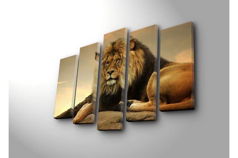 Stort lerretsbilde i 5 deler 105x70 cm - Majestetisk løve hviler på en stein - Gull / Brun / Beige - Innredning - Bilder & kunst - Lerretsbilder