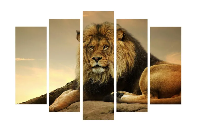 Stort lerretsbilde i 5 deler 105x70 cm - Majestetisk løve hviler på en stein - Gull / Brun / Beige - Innredning - Bilder & kunst - Lerretsbilder