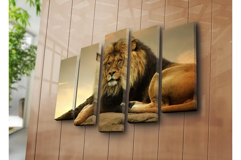 Stort lerretsbilde i 5 deler 105x70 cm - Majestetisk løve hviler på en stein - Gull / Brun / Beige - Innredning - Bilder & kunst - Lerretsbilder