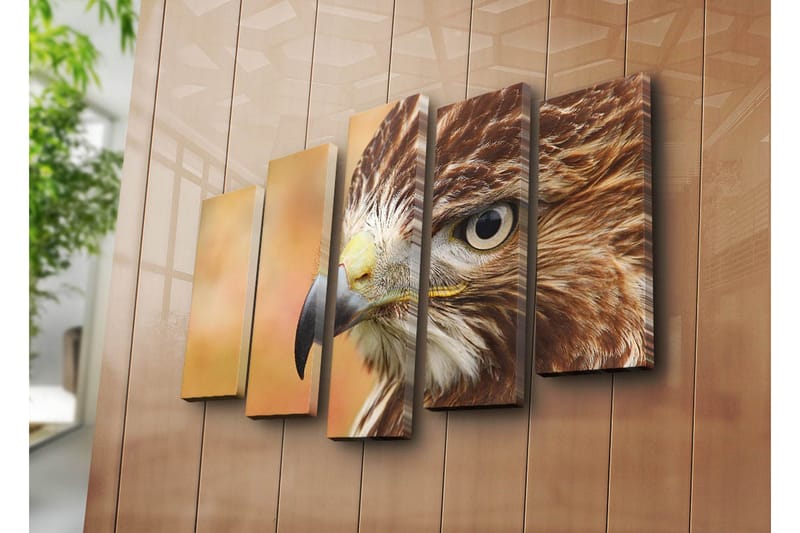 Stort lerretsbilde i 5 deler 105x70 cm - Nærbilde av en majestetisk hauk med fokus på ansiktet og øynene - Brun / Grå / Gul - Innredning - Bilder & kunst - Lerretsbilder